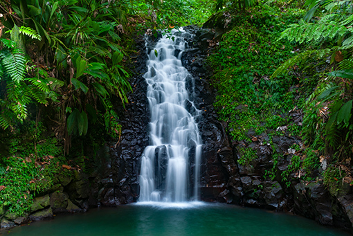 Cascade à Basse Terre, Guadeloupe