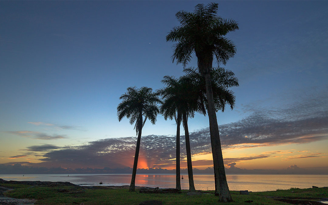 La Guyane, un paradis vert et fort dynamique