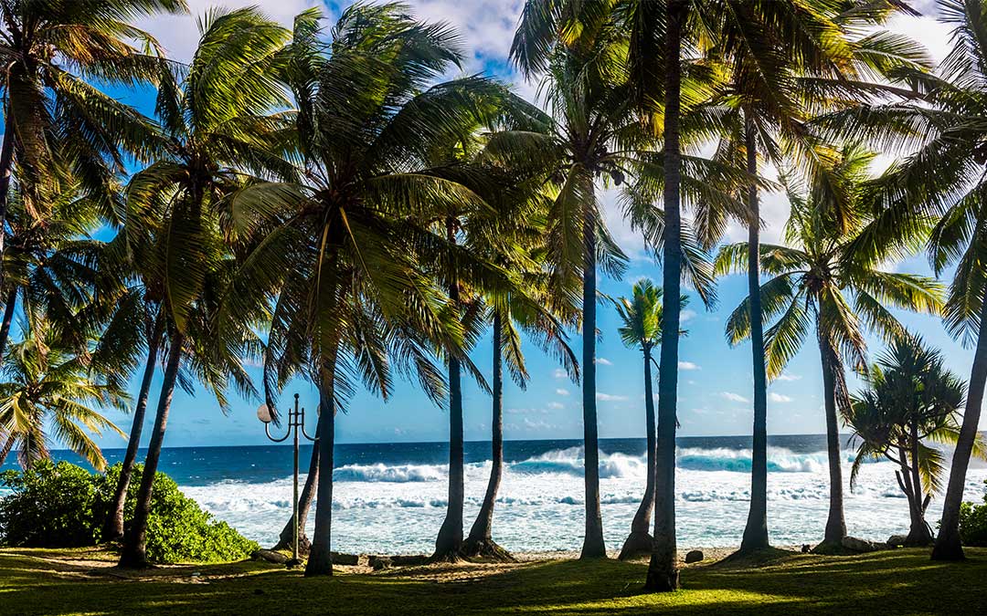 Belle vue sur la plage située à Paradise Island