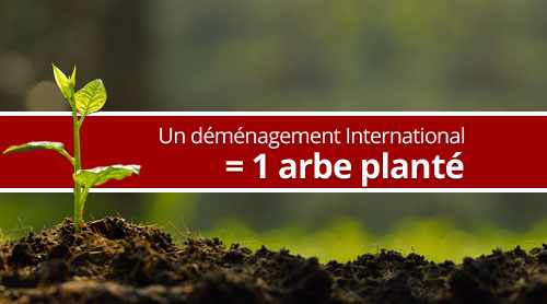 Un déménagement international = un arbre planté