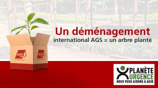 Un déménagement international = un arbre planté